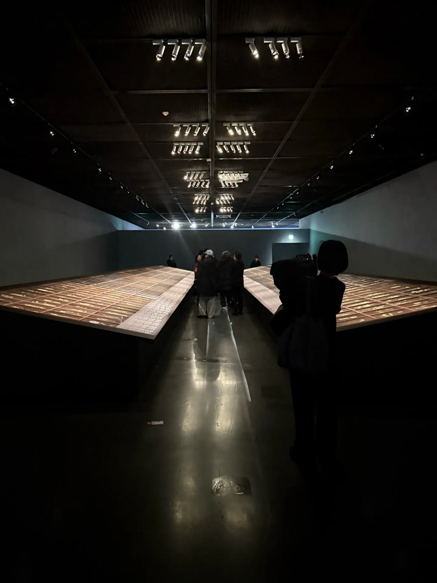 Đi lắng nghe những cuộc đối thoại của thiên nhiên tại triển lãm Promise, Seoul Museum of Art