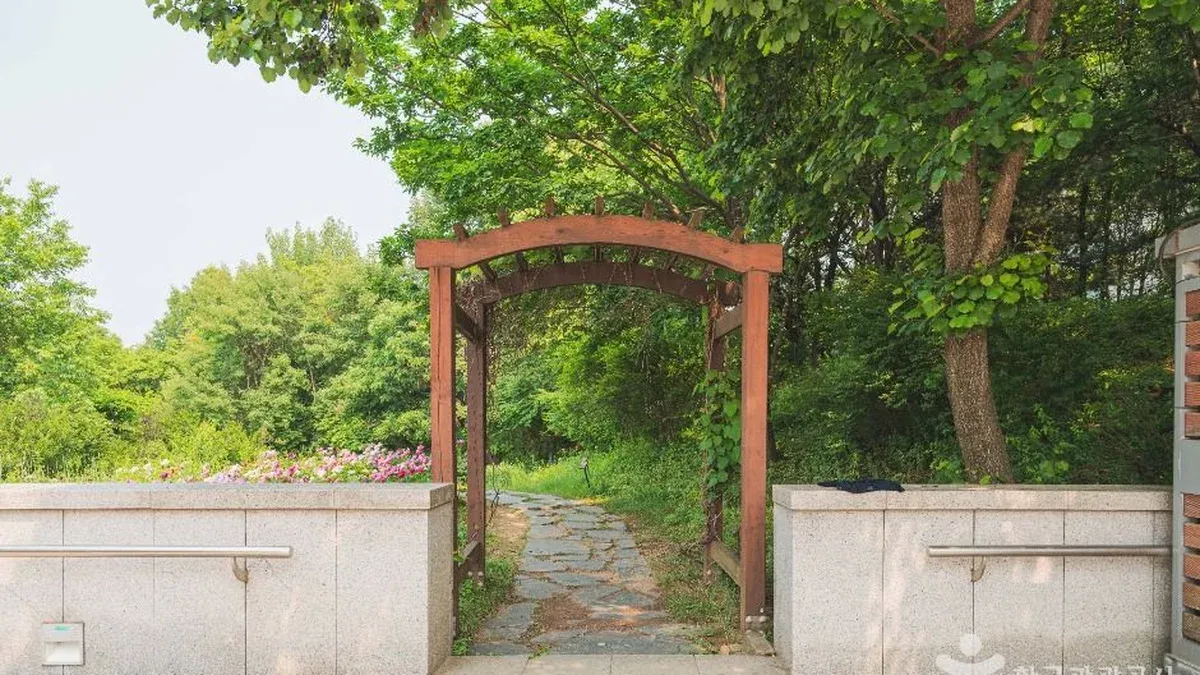 Lễ hội Vườn Cây Nhuộm Truyền Thống tại Bảo tàng Quốc gia Hàn Quốc: Điểm đến mùa hè miễn phí giữa lòng Seoul