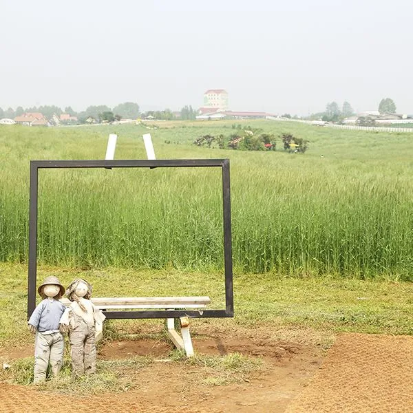 Anseong Farmland: Nông trại cổ tích và những cánh đồng hoa đẹp nhất tỉnh Gyeonggi 🌸🐑