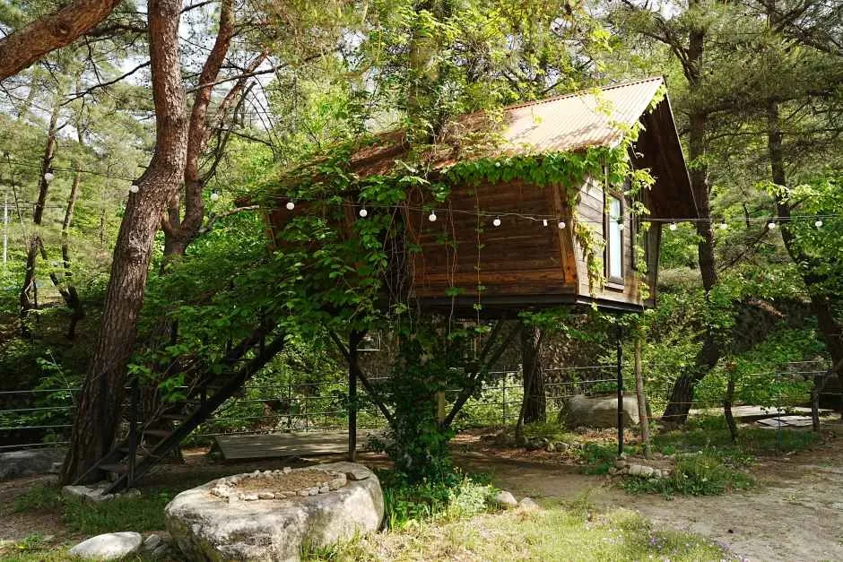 Khu Cắm Trại Tree House Ở Hongcheon Được Hiệp Hội Người Tiêu Dùng Hàn Quốc Bình Chọn Là Camping Xuất Sắc