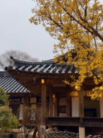 Hanok: Bí mật của "ngôi nhà biết thở" và công nghệ Ondol 1000 năm – Tiêu chuẩn sống ngầm của giới tinh hoa Hàn Quốc