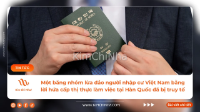 Bắt giữ băng nhóm lừa đảo visa, hé lộ chiêu trò chiếm đoạt hàng tỷ đồng của người Việt