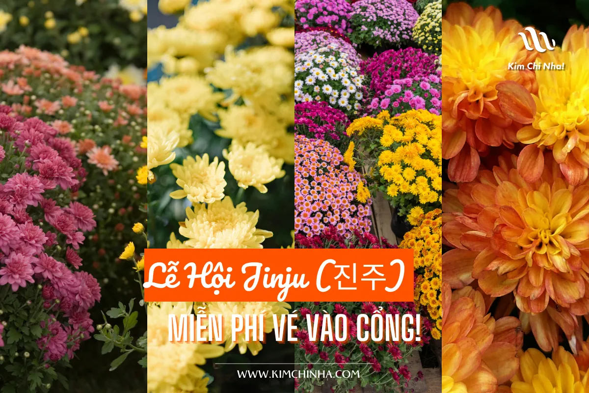 105.000 Đóa Hoa Biến Sân Vận Động Thành Di Tích Lịch Sử – Lễ Hội Jinju (진주) Miễn Phí Vé Vào Cổng!