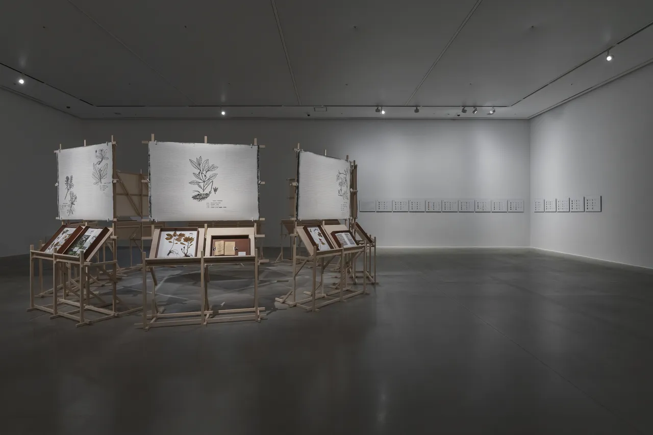 Một khu vườn của dữ liệu và ký ức, triển lãm Artist Research tại SeMA Buk-seoul