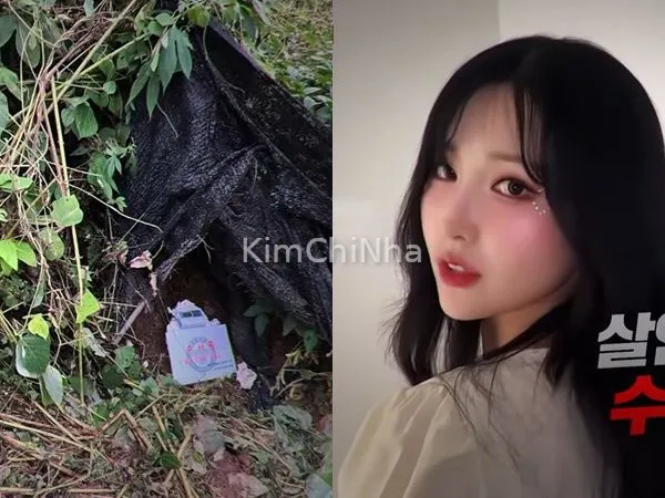 Thi thể nữ diễn viên trẻ Hàn Quốc bị phát hiện trong rừng sau buổi livestream, nghi phạm là “ông bầu quyền lực”