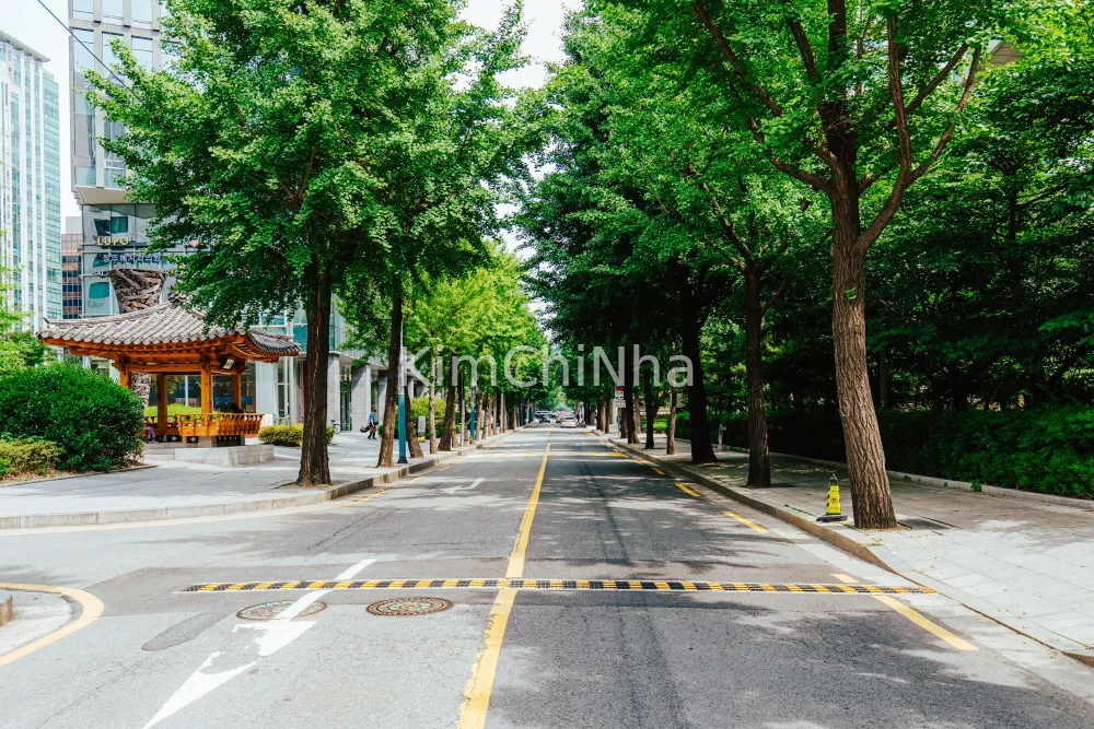Gợi Ý Hành Trình Nửa Ngày Dạo Bước "Con Đường Văn Học" Jongno