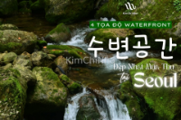 4 Tọa Độ Waterfront (수변공간) Đẹp Nhất Mùa Thu Seoul!