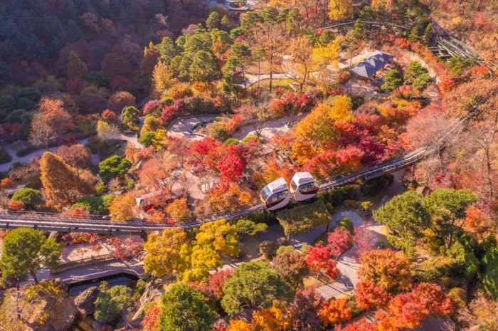 Khu Vườn Bí Mật Khiến Giới Sành Điệu Seoul Phải Trốn Về Gwangju (경기 광주) Ngay Tháng 11