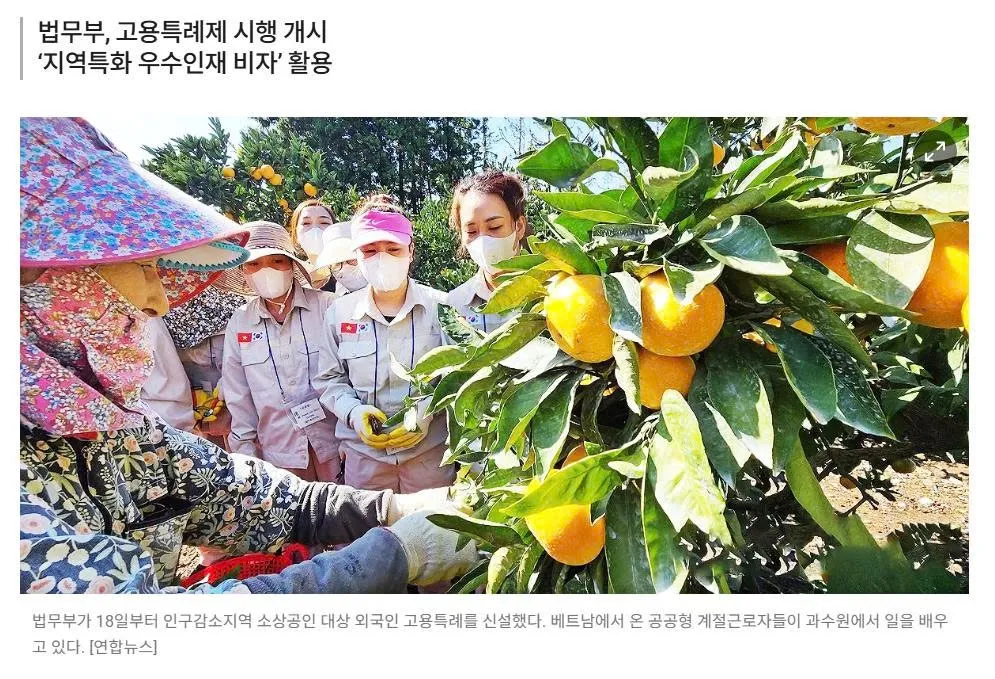 Hàn Quốc nới điều kiện tuyển lao động nước ngoài cho tiểu thương tại khu vực suy giảm dân số