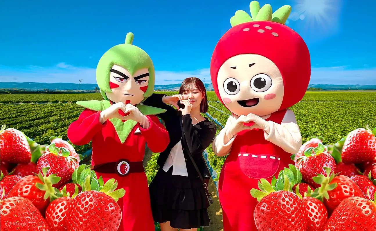 Lễ hội Dâu Tây Nonsan – Thiên đường ngọt ngào 🍓