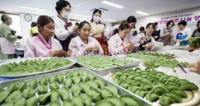 Ấm áp Trung Thu Chuseok: Người lao động nước ngoài và cộng đồng di cư sum vầy tại Gwangju