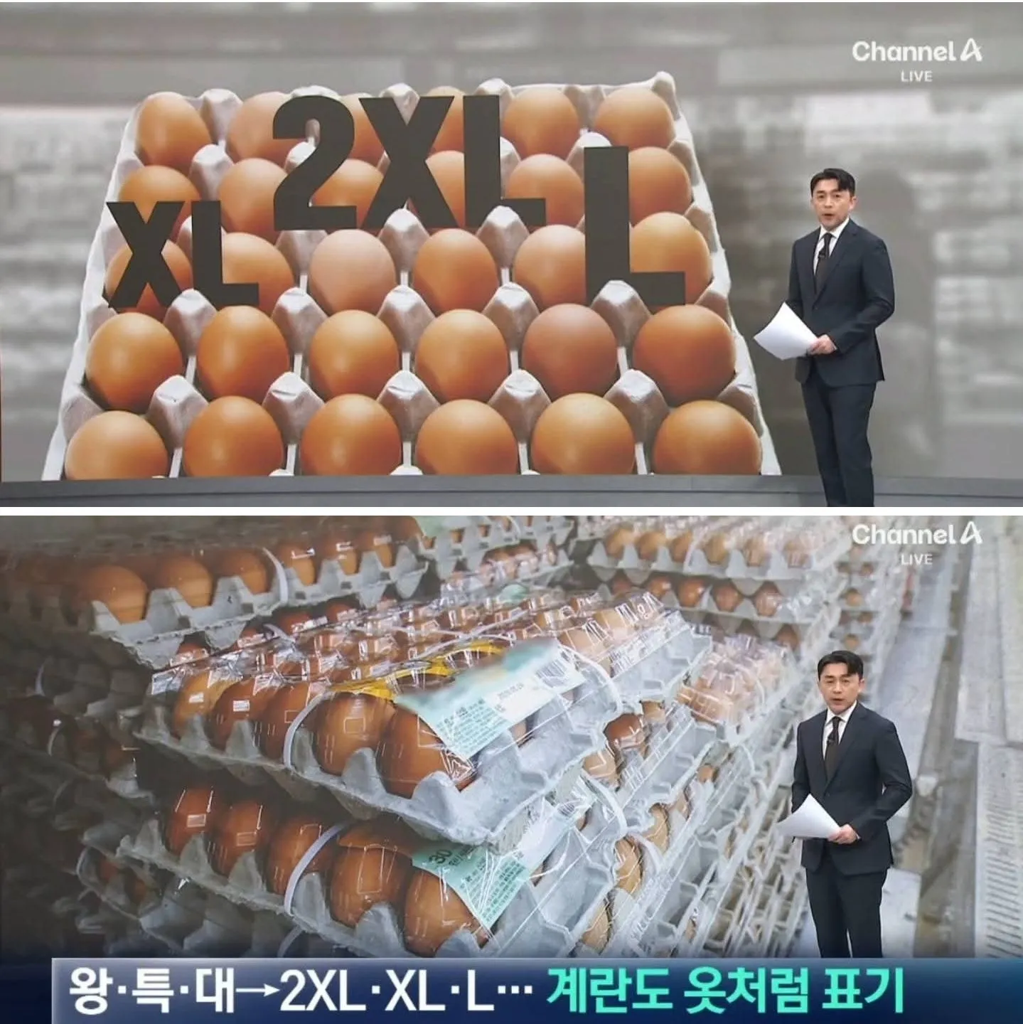 TỪ NAY ĐI MUA TRỨNG, NHỚ CHỌN SIZE NHƯ CHỌN QUẦN ÁO NHA MN 🥚👕