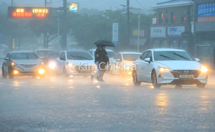 [Cập Nhật Mới Nhất] Dự báo mưa lớn tại Jeju, lượng mưa có thể lên tới 250mm kèm gió giật mạnh tại Jeju