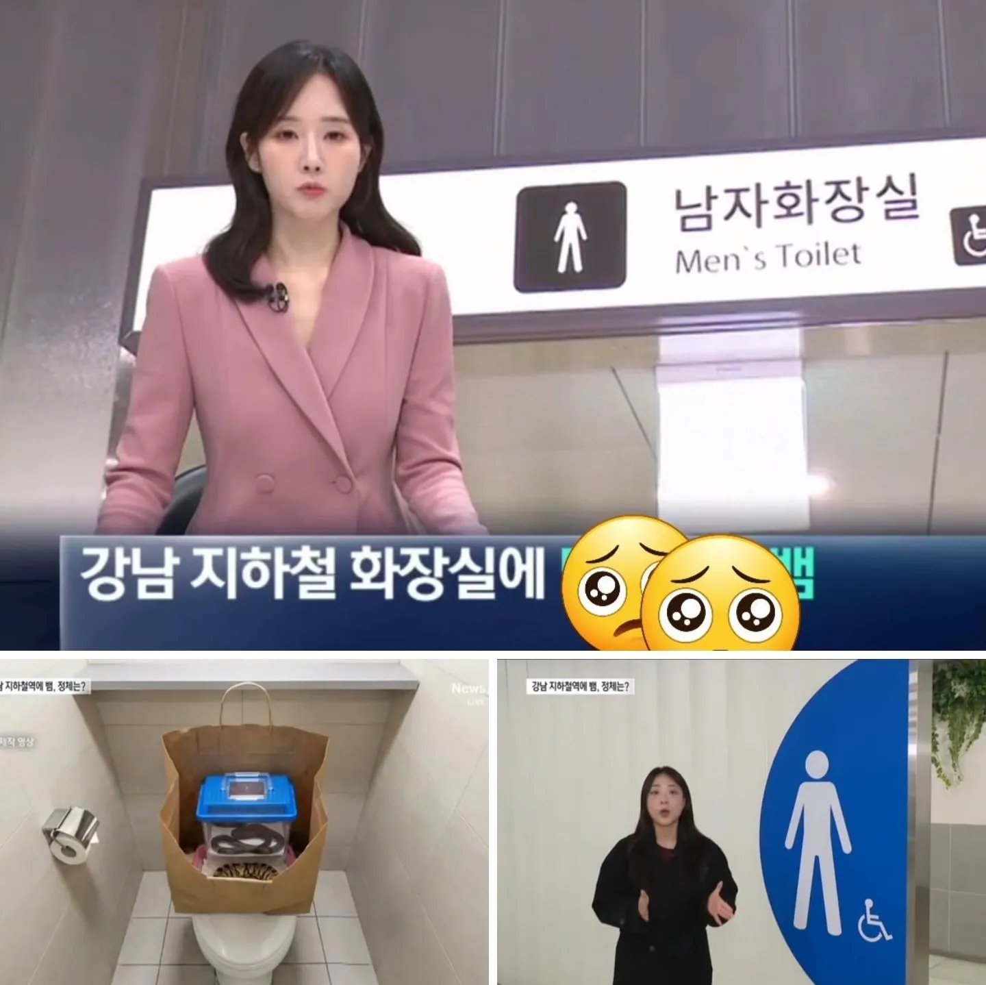 Phát Hiện Hai Bé Xà Bị Bỏ Rơi Trong Nhà Vệ Sinh Ga Tàu Điện Ngầm Seoul 🐍🚨