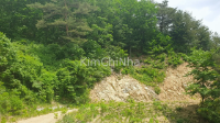 Trải nghiệm dọc con đường lịch sử: từ đường Quân sự đến hành trình trekking thời gian