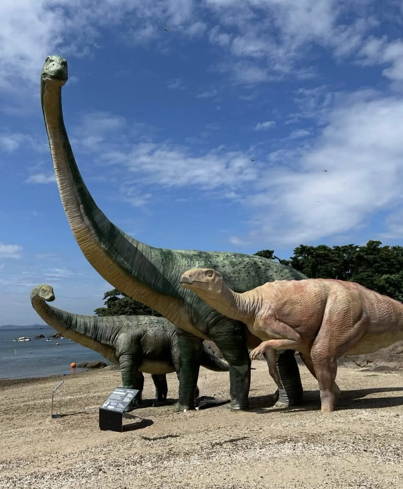Khám phá dấu chân khủng long thật ngay bên bờ biển Boryeong 🦕🌊