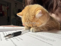 Kinh nghiệm lần đầu nộp hồ sơ xin gia hạn visa Hàn