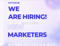 코튼88 (Cotton88) tuyển dụng Nhân viên Marketing quốc tế – Thị trường Việt Nam