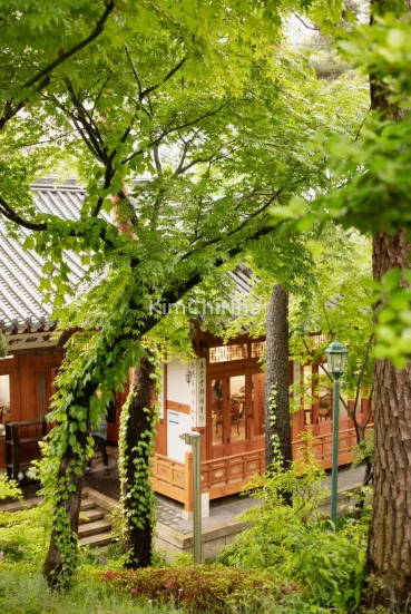 Dongbaekheon
