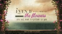 🌸 Even if the flowers are not ever forgotten to you • 꽃이 진다고 그대를 잊은 적 없다 – Khúc tình ca còn mãi giữa mùa hoa tàn