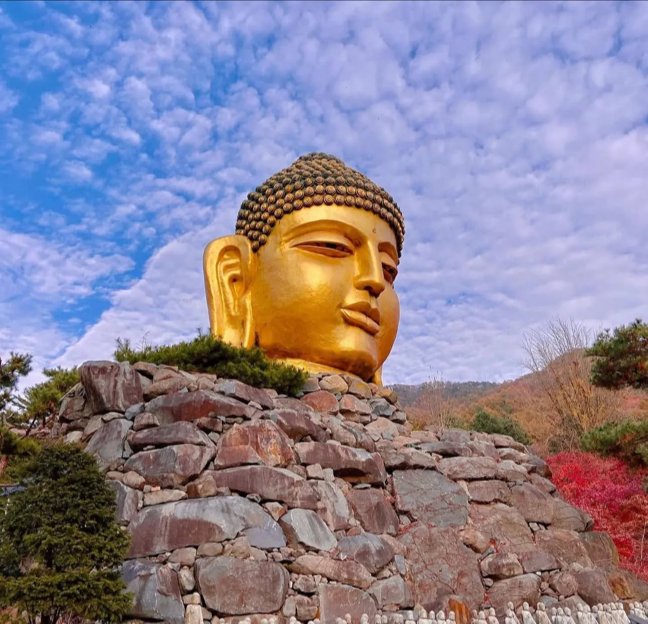 Wawujeongsa: Ngôi chùa của những kỷ lục và sự thanh tịnh 🏯🙏