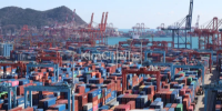Người đàn ông Việt Nam bị bắt tại cảng Busan vì tìm cách nhập cảnh trái phép