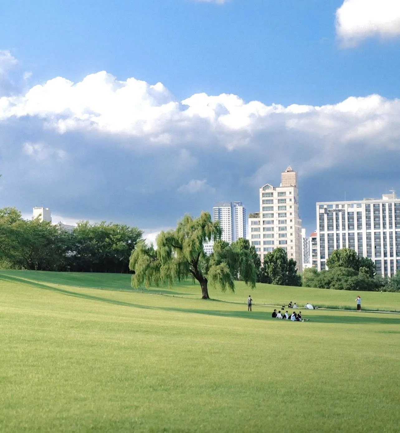 Seoul Olympic Park – Thảm cỏ xanh mướt như phim Ghibli và những biểu tượng nghệ thuật giữa lòng thủ đô MIỄN PHÍ VÀO CỬA