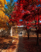 경주 보문관광단지 (Gyeongju Bomun Tourist Complex) – Khi mùa thu biến cố đô thành bức tranh cổ tích