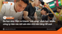 Du học sinh Việt trở thành “mỏ vàng” nhân lực: Nhiều công ty Hàn ráo riết săn đón nhờ nền tảng HR mới