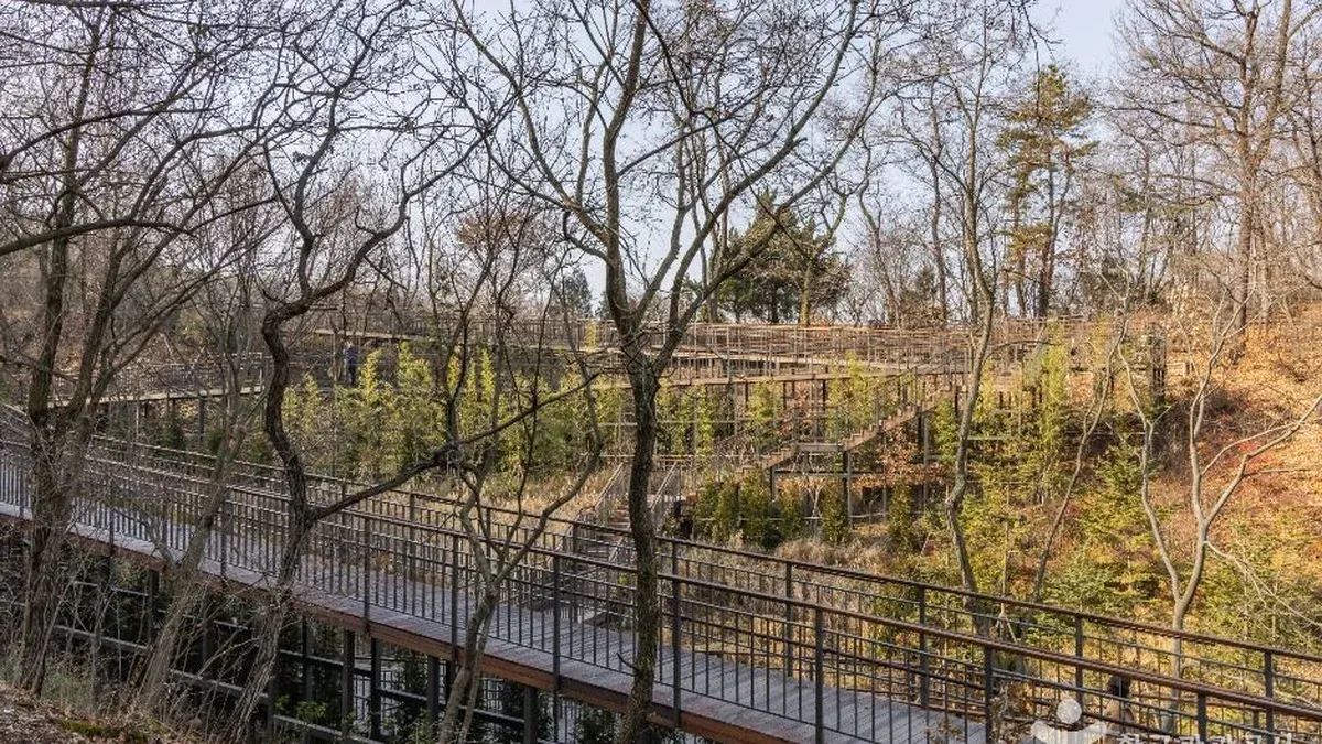 “Đi bộ 5km rồi mới biết Seoul cũng có nơi chữa lành đến vậy” – Khám phá Công viên thiên nhiên đô thị Daemosan giữa lòng Gangnam